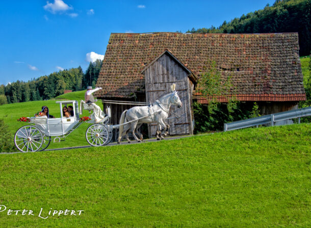 Hochzeitsfotograf Hegau Peter Lippert